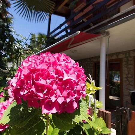Apartment Paulina Cres Εξωτερικό φωτογραφία