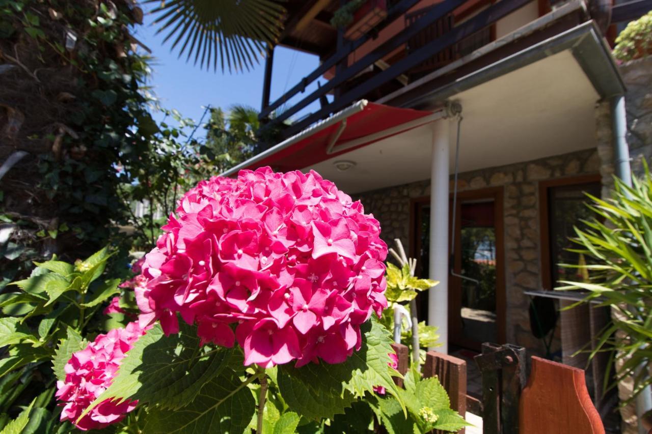 Apartment Paulina Cres Εξωτερικό φωτογραφία